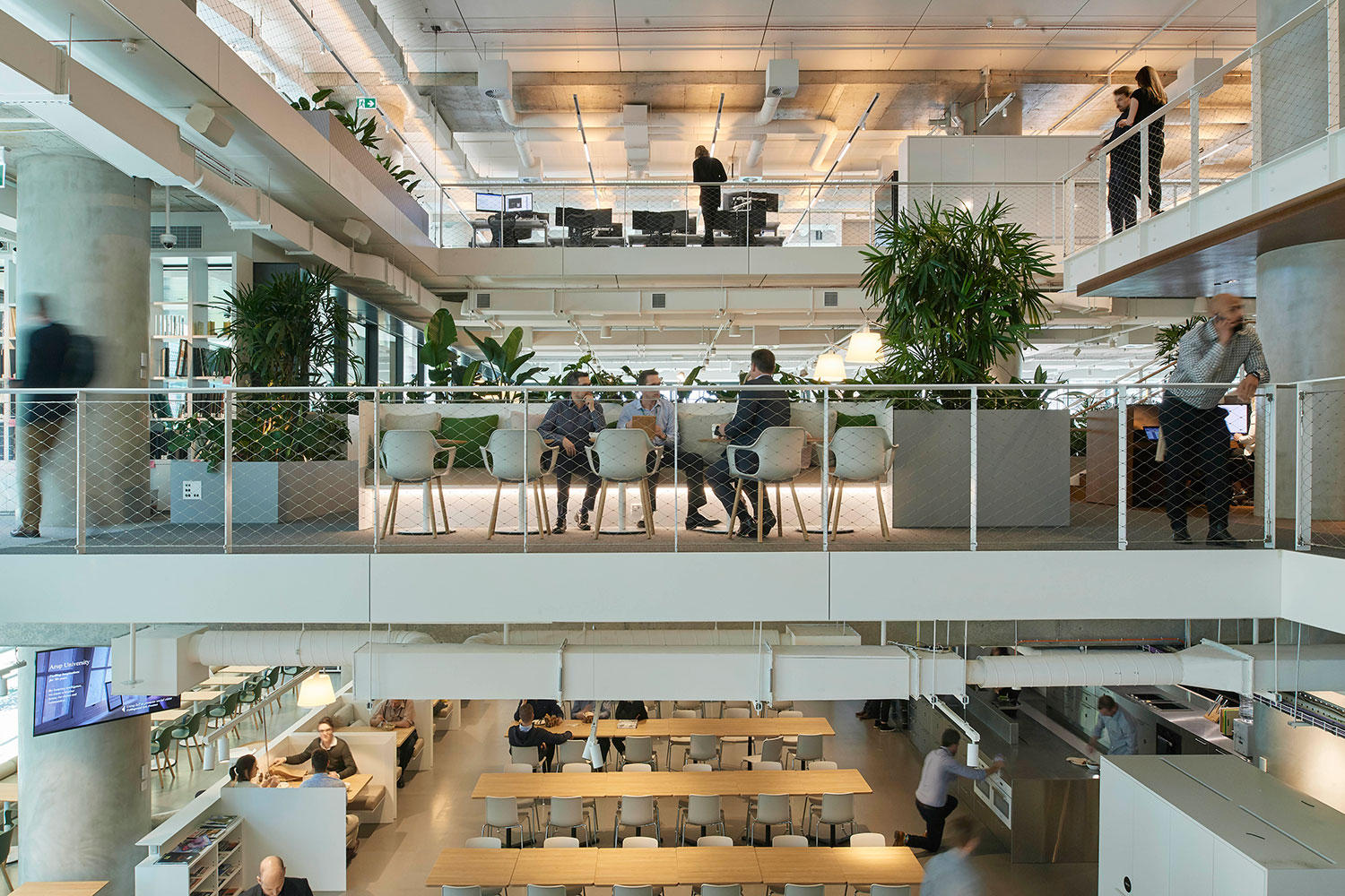 Arup Melbourne Workplace - Sustainability Awards - Building a better ...