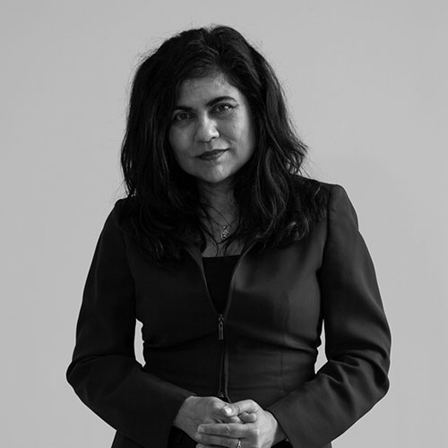 Professor Veena Sahajwalla