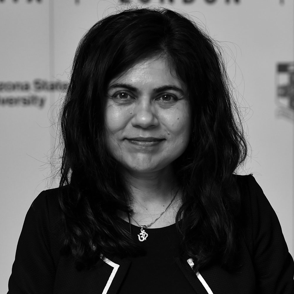 Laureate Professor Veena Sahajwalla